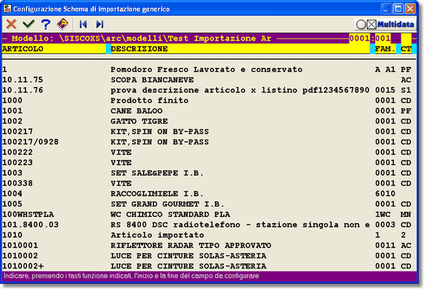 Esempio di stampa "Elenco Articoli di Magazzino" utilizzata come Modello di Importazione Articoli